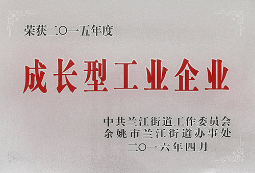 成長型工業企業