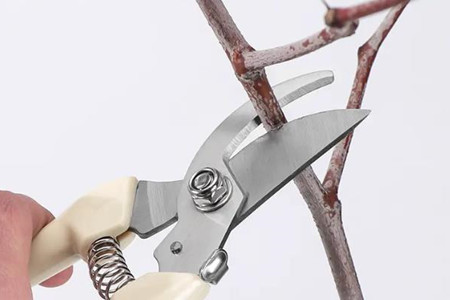 修枝剪刀片什么材質(zhì)好？銀達(dá)科普！