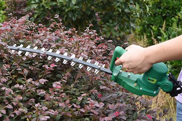 綠籬機刀片太鈍了？磨一磨會變得鋒利！ 圖1