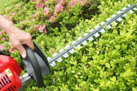 電動綠籬機刀片的價格貴嗎？